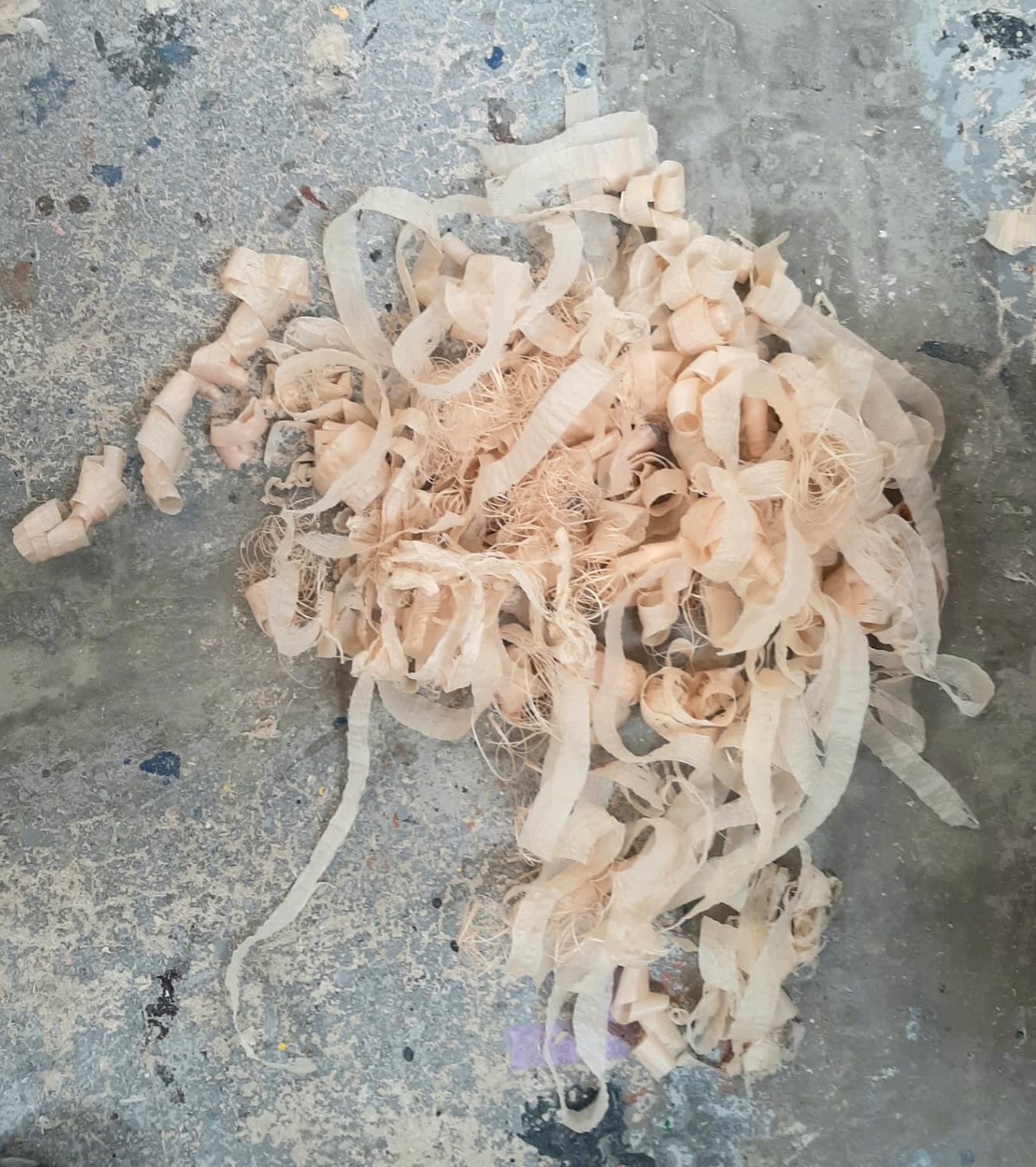 shavings